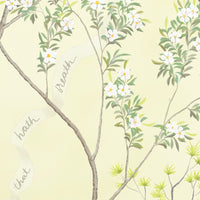 Thumbnail for Detail from