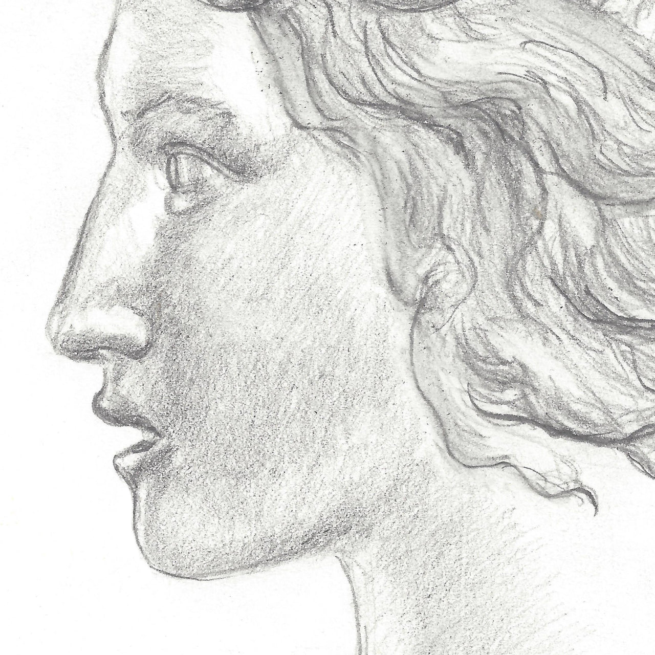 Head of Liberty - Original Pencil Drawing